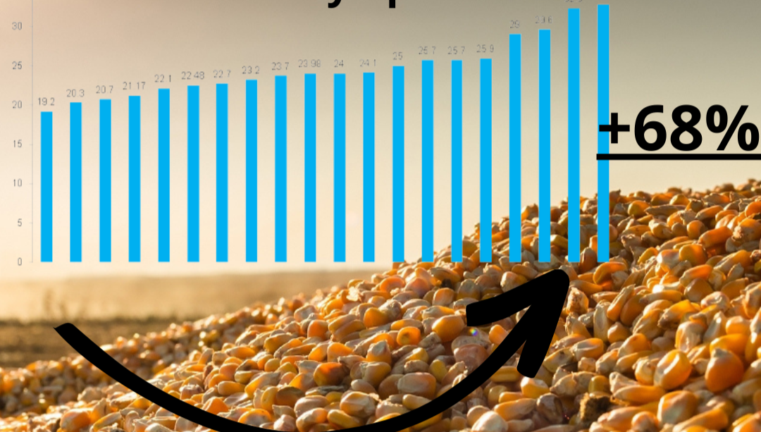 Nitrogen efficiency comparison chart